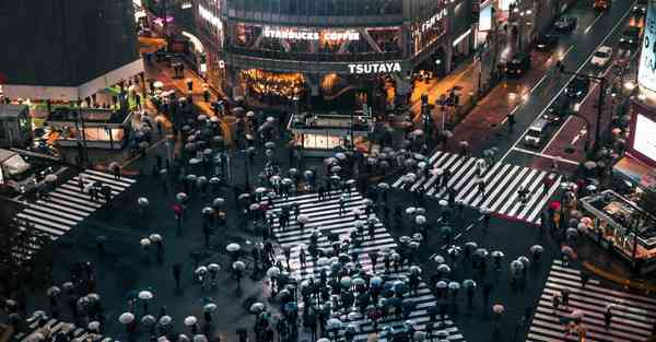 ios 谷歌商店布谷加速器